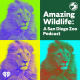 Amazing Wildlife