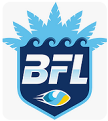 Beach Football League
