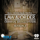 Law & Order: Criminal Justice System