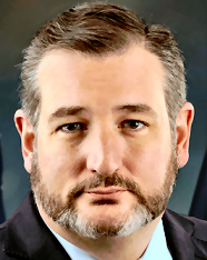 Senator Ted Cruz (R-TX)